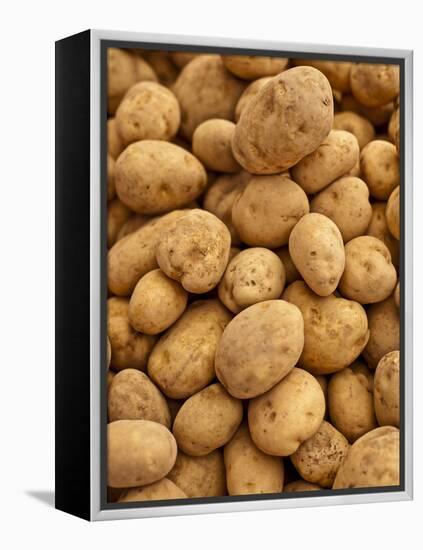 Potatoes at Sunday Morning Market, Pollenca, Tramuntana, Mallorca, Spain-Andrew Stewart-Framed Premier Image Canvas