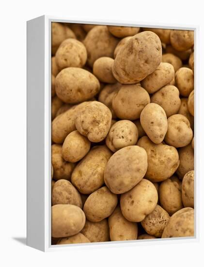 Potatoes at Sunday Morning Market, Pollenca, Tramuntana, Mallorca, Spain-Andrew Stewart-Framed Premier Image Canvas