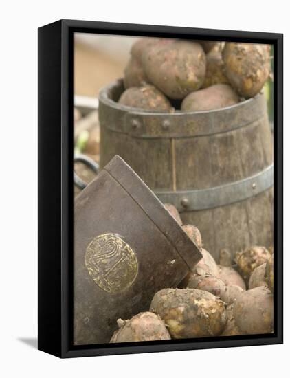 Potatoes at Vegetable Market, Stavanger Harbour, Norway-Russell Young-Framed Premier Image Canvas
