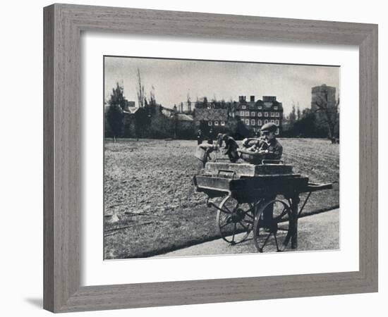 'Potatoes in Kew Gardens', 1941-Cecil Beaton-Framed Photographic Print