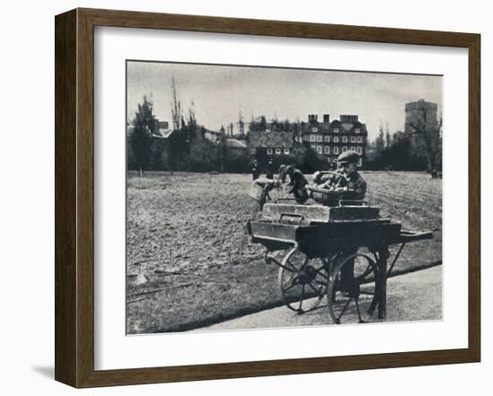 'Potatoes in Kew Gardens', 1941-Cecil Beaton-Framed Photographic Print