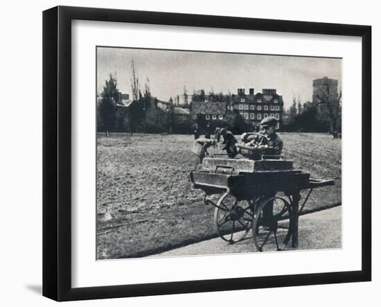 'Potatoes in Kew Gardens', 1941-Cecil Beaton-Framed Photographic Print