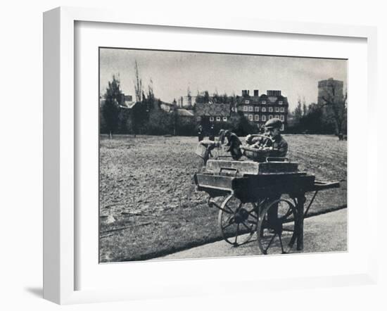 'Potatoes in Kew Gardens', 1941-Cecil Beaton-Framed Photographic Print