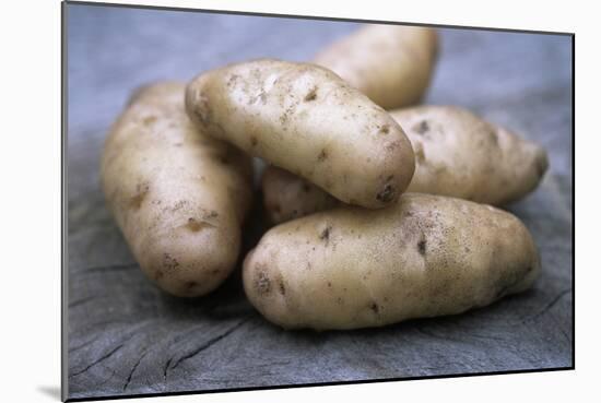 Potatoes (Solanum Tuberosum 'Anya')-Maxine Adcock-Mounted Photographic Print