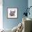 Potomac Cats-Bill Bell-Framed Giclee Print displayed on a wall