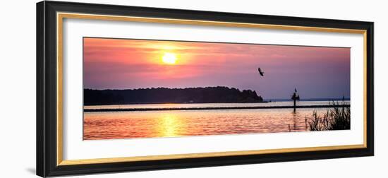 Potomac Sunset II-Alan Hausenflock-Framed Photo