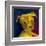 Potrait-of-a-Puppy-Rabi Khan-Framed Art Print