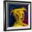 Potrait-of-a-Puppy-Rabi Khan-Framed Art Print