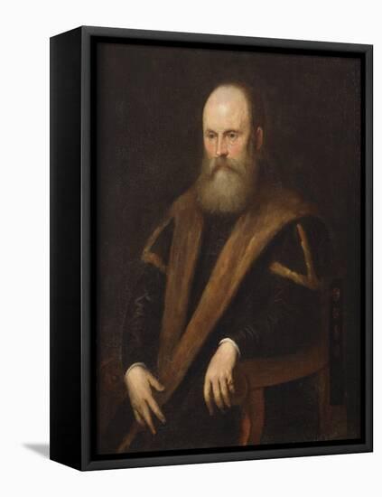 Potrait of a Venetian Noble-Jacopo Robusti Tintoretto-Framed Premier Image Canvas