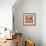 Pots bastide rose-Pascal Cessou-Framed Art Print displayed on a wall