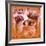 Pots bastide rose-Pascal Cessou-Framed Art Print