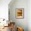 Pots in Kitchen, San Miguel De Allende, Mexico-Nancy Rotenberg-Framed Photographic Print displayed on a wall