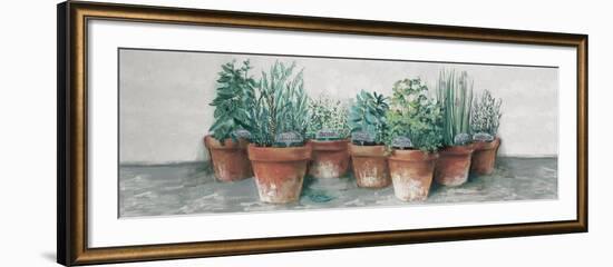 Pots of Herbs II Cottage v2-Carol Rowan-Framed Art Print