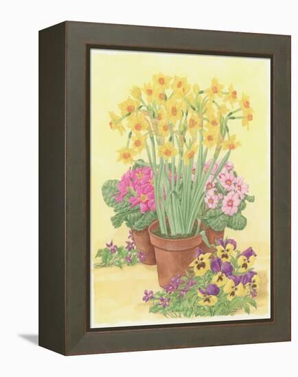 Pots of Spring Flowers, 2003-Linda Benton-Framed Premier Image Canvas