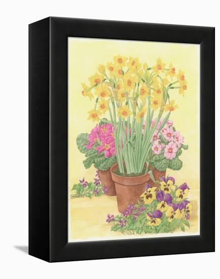 Pots of Spring Flowers, 2003-Linda Benton-Framed Premier Image Canvas