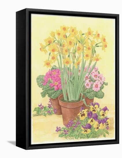 Pots of Spring Flowers, 2003-Linda Benton-Framed Premier Image Canvas