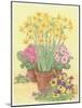 Pots of Spring Flowers, 2003-Linda Benton-Mounted Giclee Print