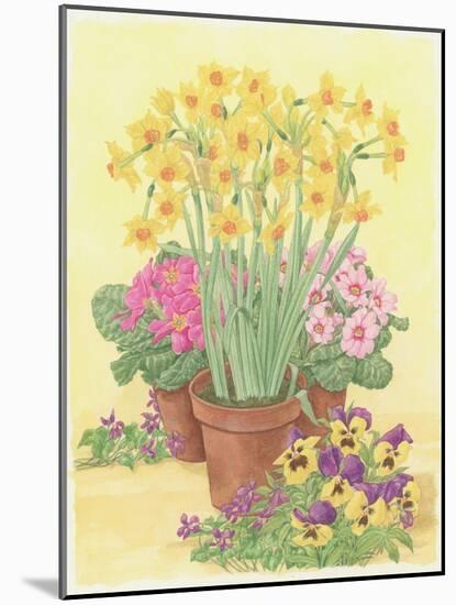 Pots of Spring Flowers, 2003-Linda Benton-Mounted Giclee Print