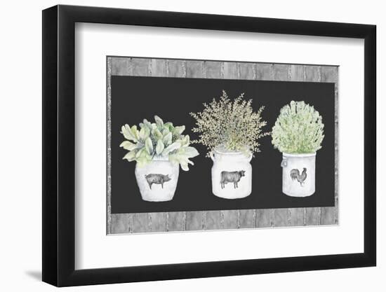 Potted Farm Arrangement Trio on Chalkboard-Janice Gaynor-Framed Photographic Print