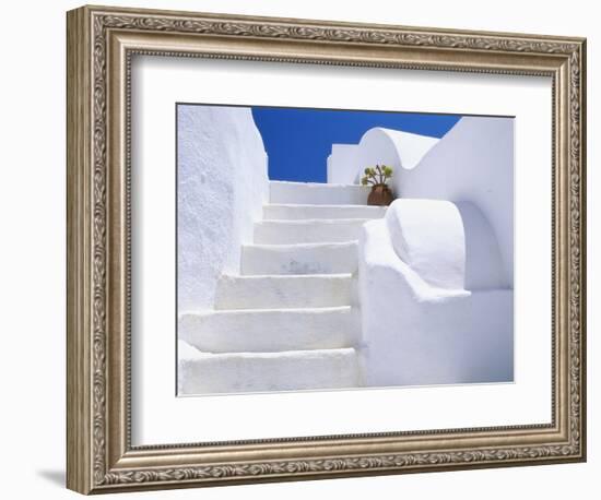 Potted Flowers On Staircase-Todd A. Gipstein-Framed Photographic Print