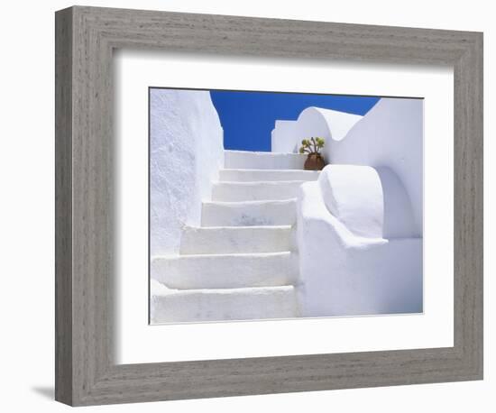 Potted Flowers On Staircase-Todd A. Gipstein-Framed Photographic Print