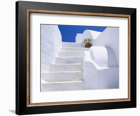 Potted Flowers On Staircase-Todd A. Gipstein-Framed Photographic Print