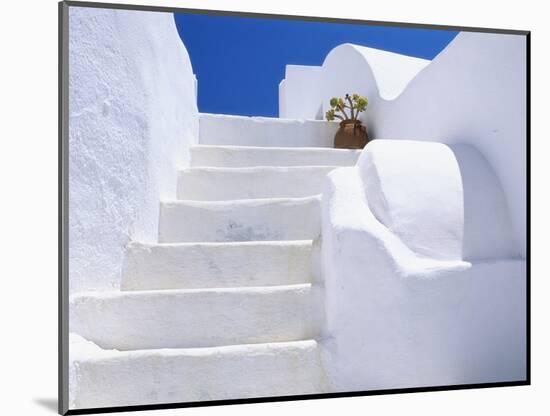 Potted Flowers On Staircase-Todd A. Gipstein-Mounted Photographic Print