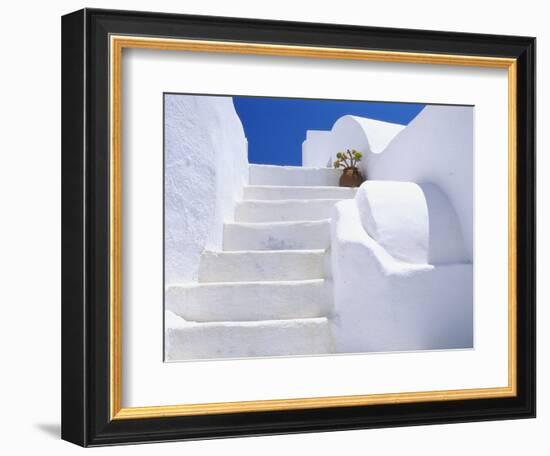 Potted Flowers On Staircase-Todd A. Gipstein-Framed Photographic Print