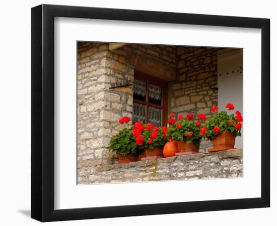 Potted Geraniums on Stone Wall, Burgundy, France-Lisa S. Engelbrecht-Framed Photographic Print