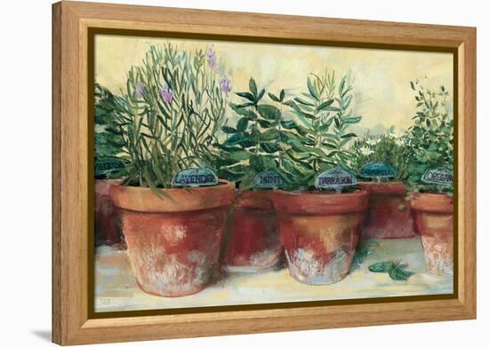 Potted Herbs I-Carol Rowan-Framed Stretched Canvas