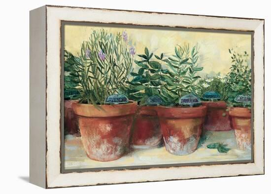 Potted Herbs I-Carol Rowan-Framed Stretched Canvas