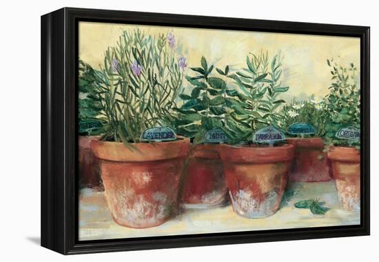 Potted Herbs I-Carol Rowan-Framed Stretched Canvas