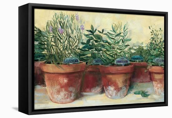 Potted Herbs I-Carol Rowan-Framed Stretched Canvas