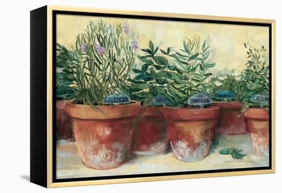 Potted Herbs I-Carol Rowan-Framed Stretched Canvas