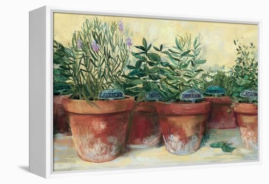 Potted Herbs I-Carol Rowan-Framed Stretched Canvas