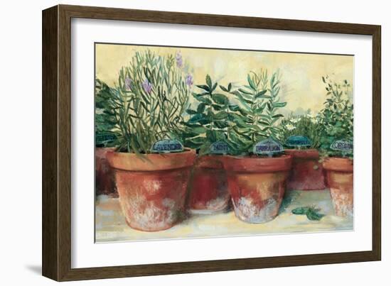 Potted Herbs I-Carol Rowan-Framed Art Print