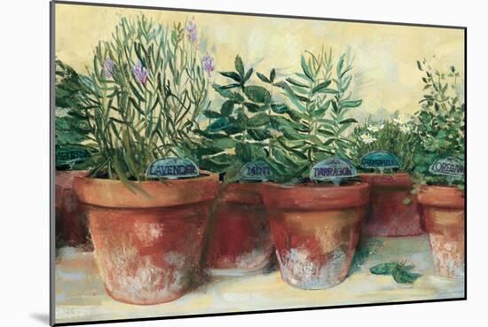 Potted Herbs I-Carol Rowan-Mounted Art Print