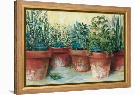 Potted Herbs II-Carol Rowan-Framed Stretched Canvas