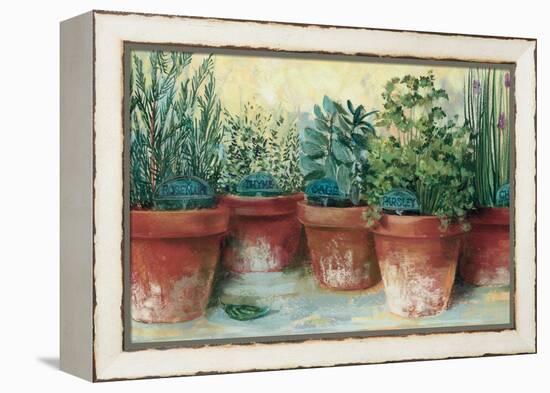 Potted Herbs II-Carol Rowan-Framed Stretched Canvas