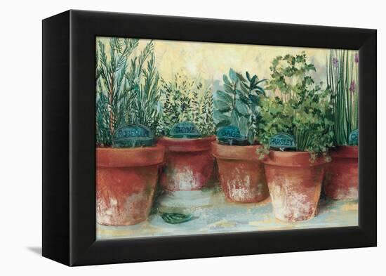 Potted Herbs II-Carol Rowan-Framed Stretched Canvas