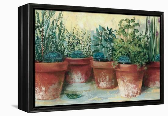 Potted Herbs II-Carol Rowan-Framed Stretched Canvas