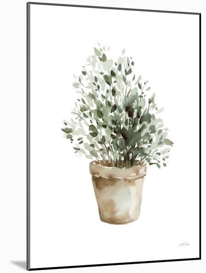 Potted Herbs-Katrina Pete-Mounted Art Print