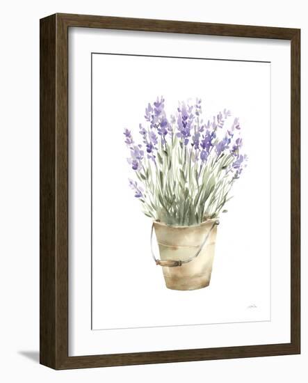 Potted Lavender-Katrina Pete-Framed Art Print