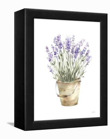 Potted Lavender-Katrina Pete-Framed Stretched Canvas