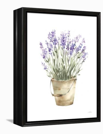 Potted Lavender-Katrina Pete-Framed Stretched Canvas