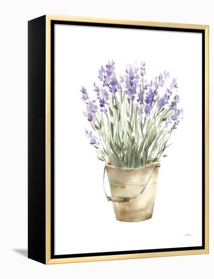 Potted Lavender-Katrina Pete-Framed Stretched Canvas