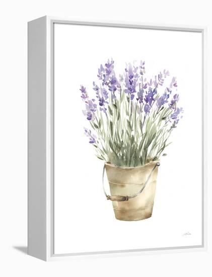 Potted Lavender-Katrina Pete-Framed Stretched Canvas