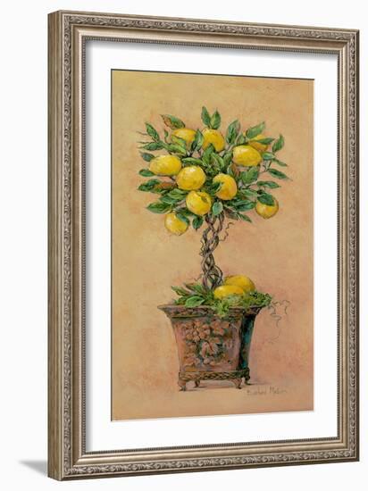 Potted Lemons-Barbara Mock-Framed Giclee Print