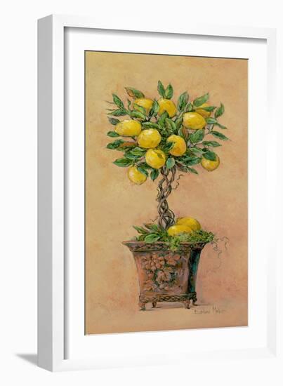 Potted Lemons-Barbara Mock-Framed Giclee Print