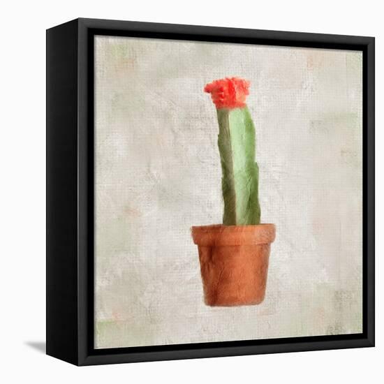 Potted Life 1-Kimberly Allen-Framed Stretched Canvas